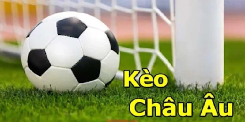 Vấn đề cần lưu tâm khi đầu tư cược châu âu
